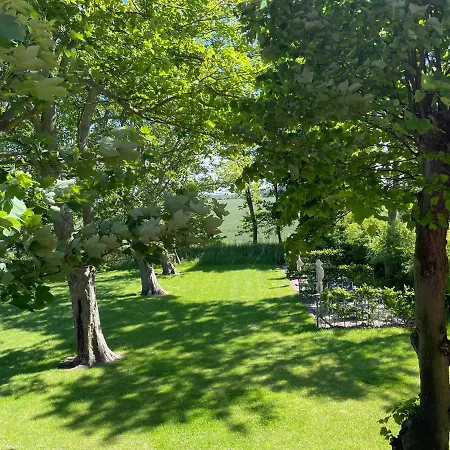 Gulfhof Dreybuelt Dreybuelt 3 Beene * Dornum