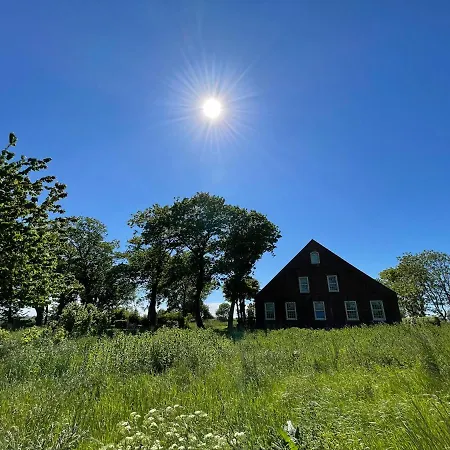 Gulfhof Dreybuelt Dreybuelt 3 Beene *