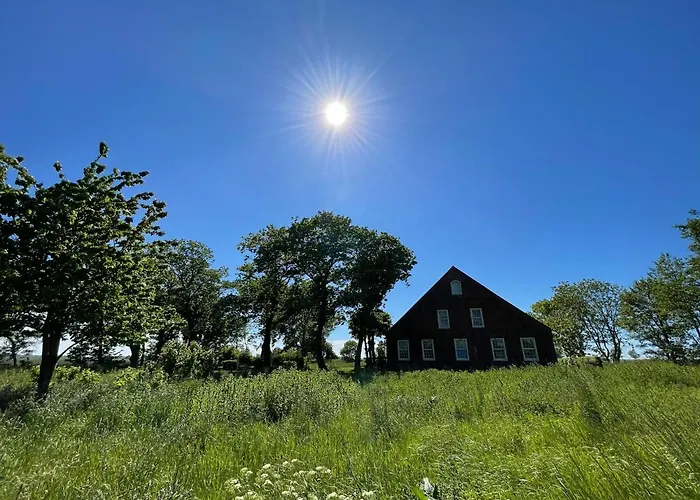 Gulfhof Dreybült Dreybült 3 Beene *